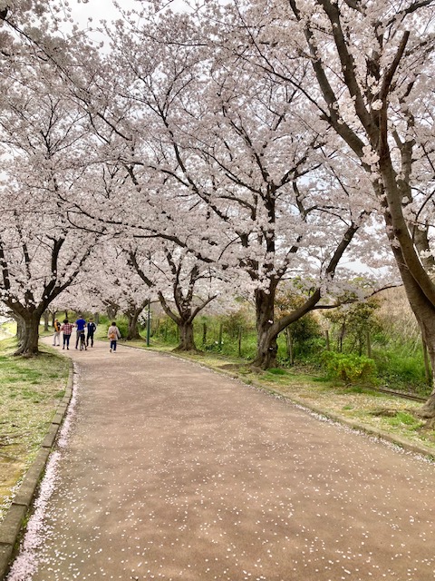 駕与丁公園